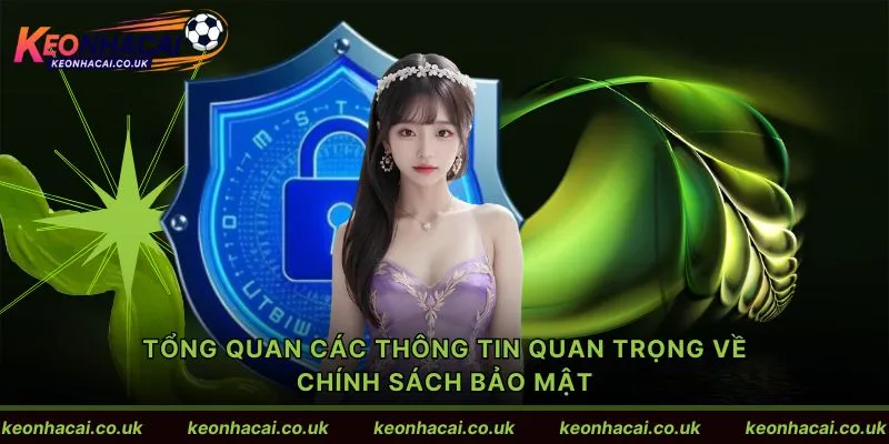 Tổng quan các thông tin quan trọng về chính sách bảo mật